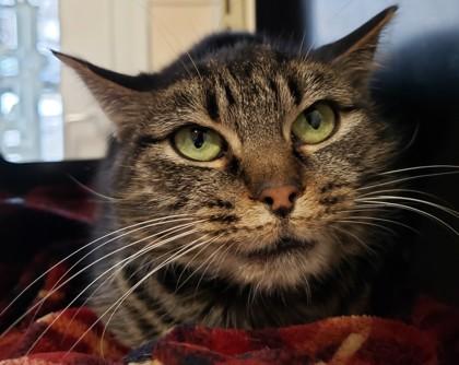 Mary Louise — thumbnail 2