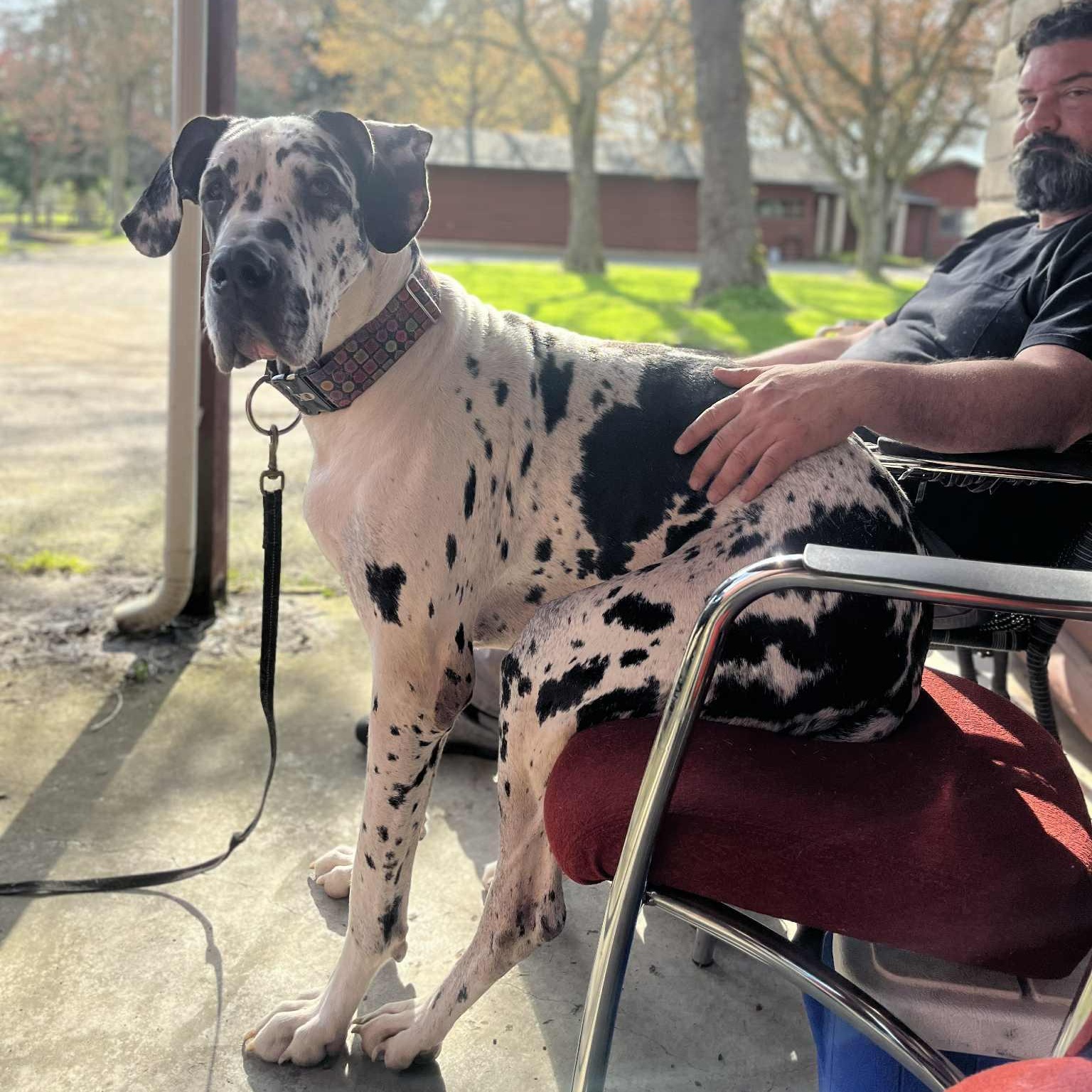 Penny - Goofy, Lovely Girl