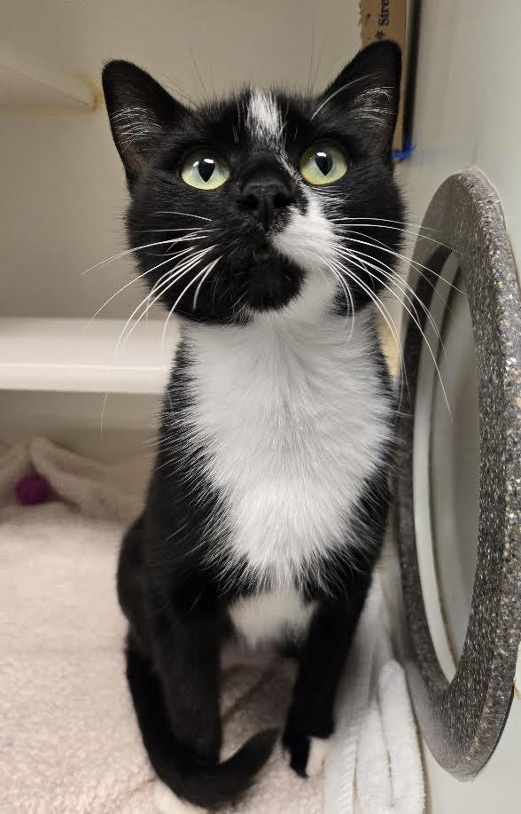 Photo of Circe