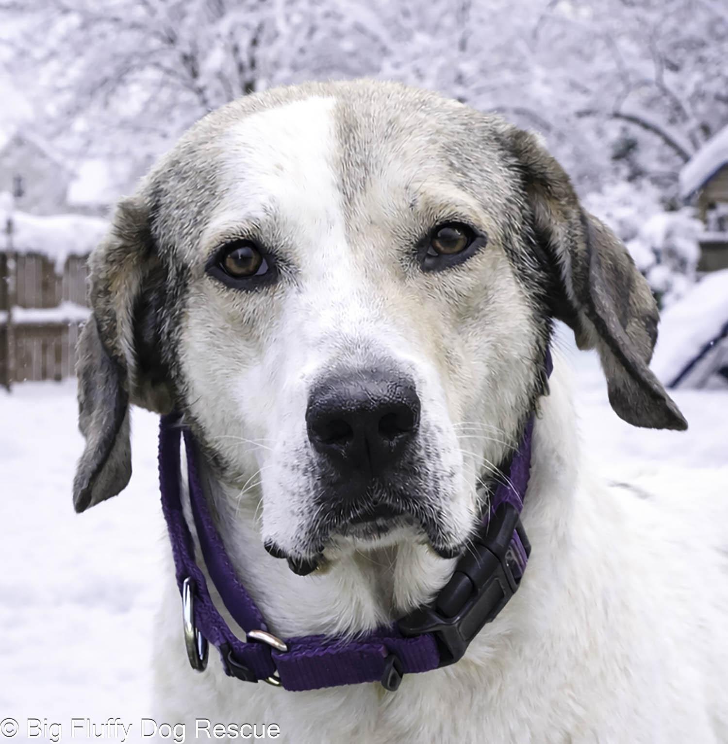 Marilyn — thumbnail 2