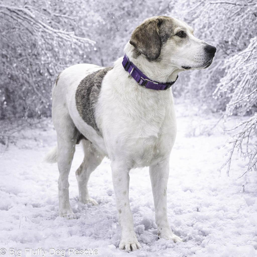 Marilyn — thumbnail 3