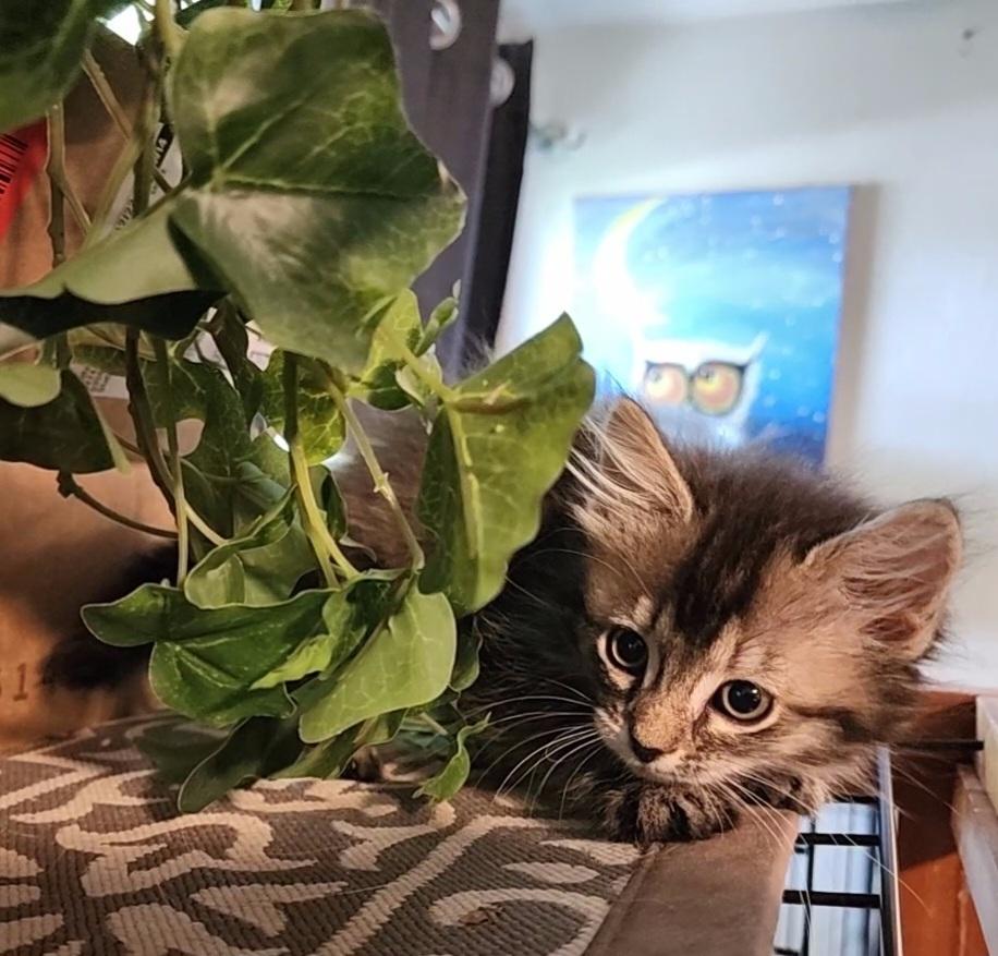 Sunny (Jaquelle) — thumbnail 2