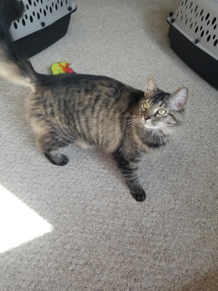 Sunny (Jaquelle) — thumbnail 3