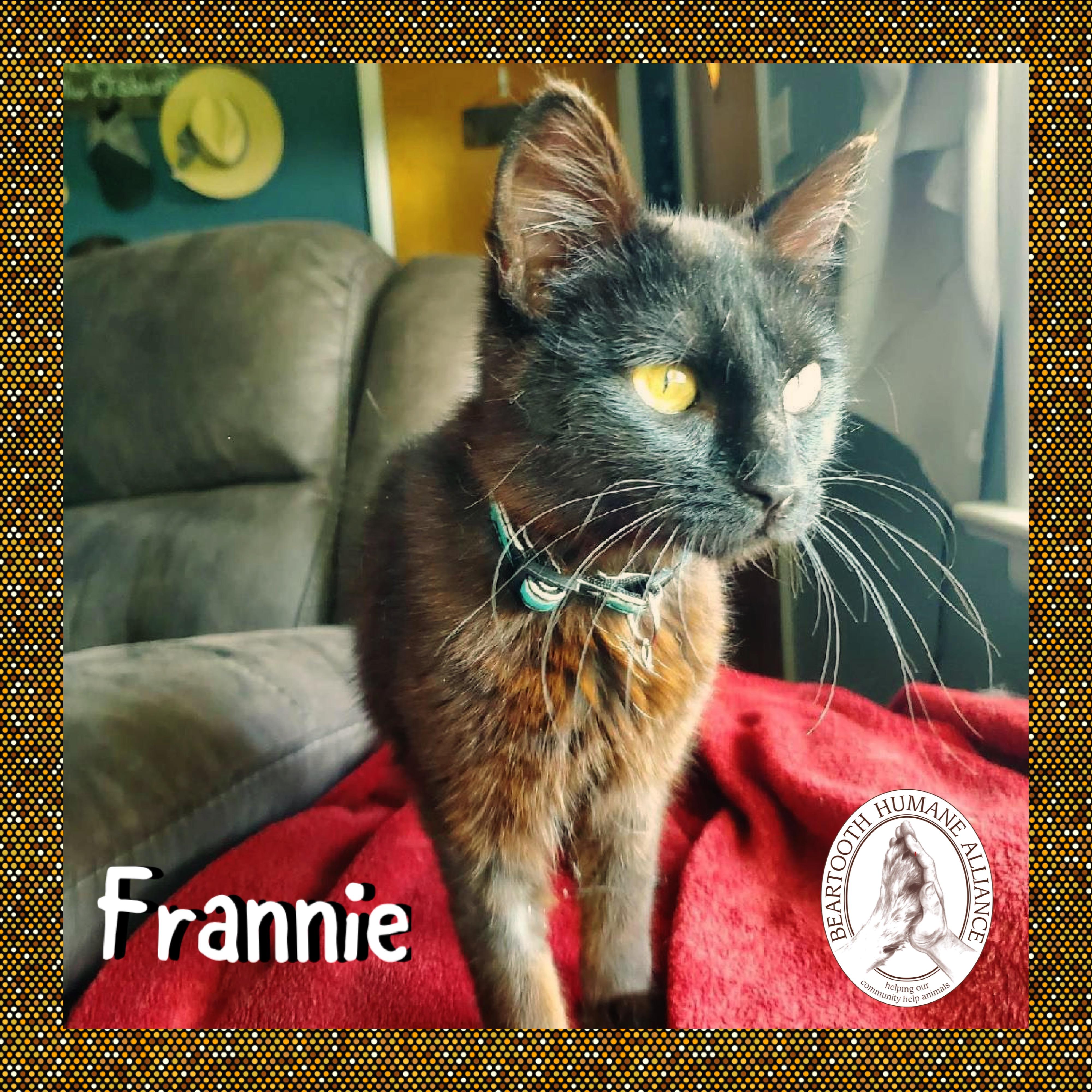 Frannie
