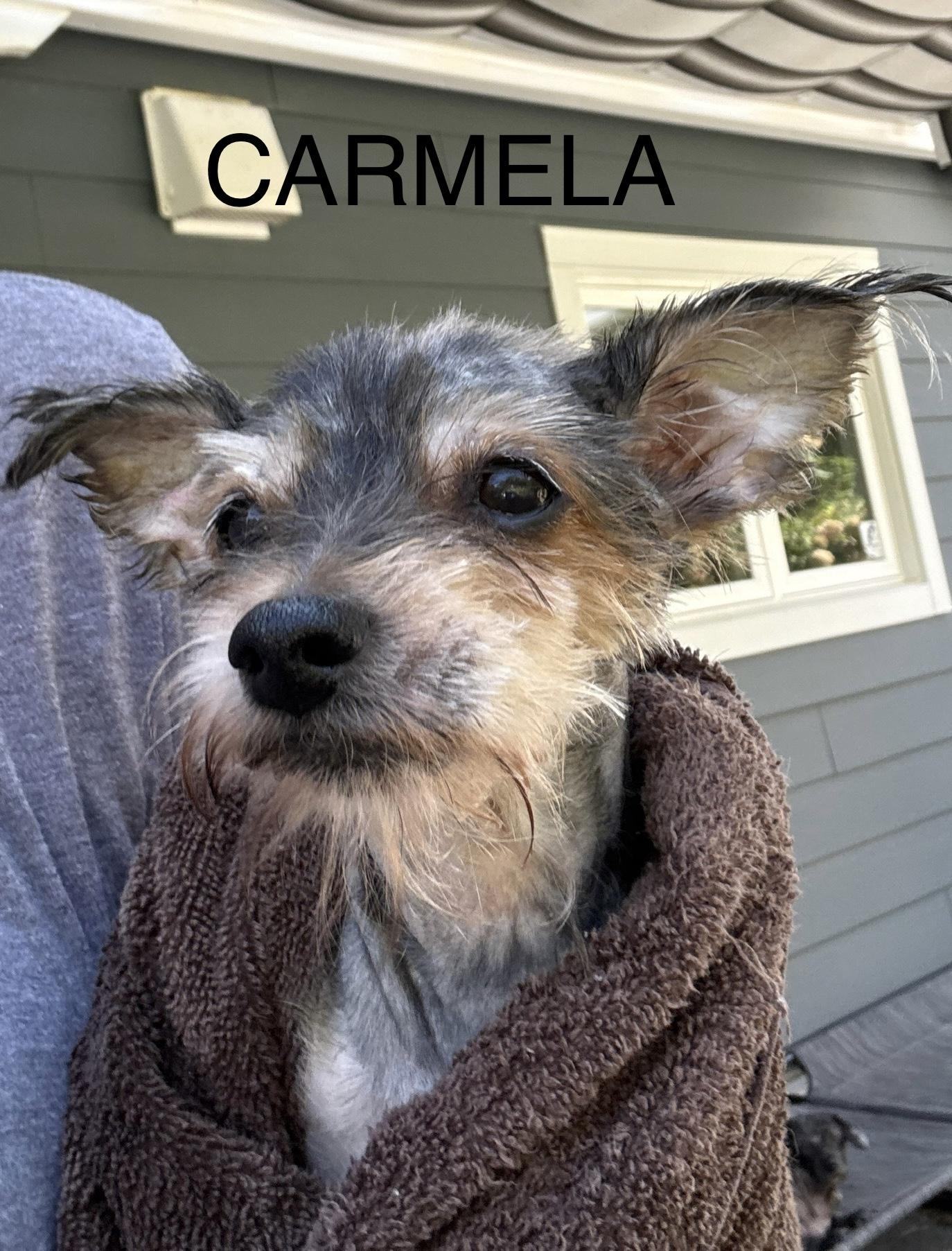 Carmela