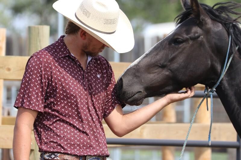 Enlarge Thunder, a Adoptable Mustang in Scotland, SD image 3/6