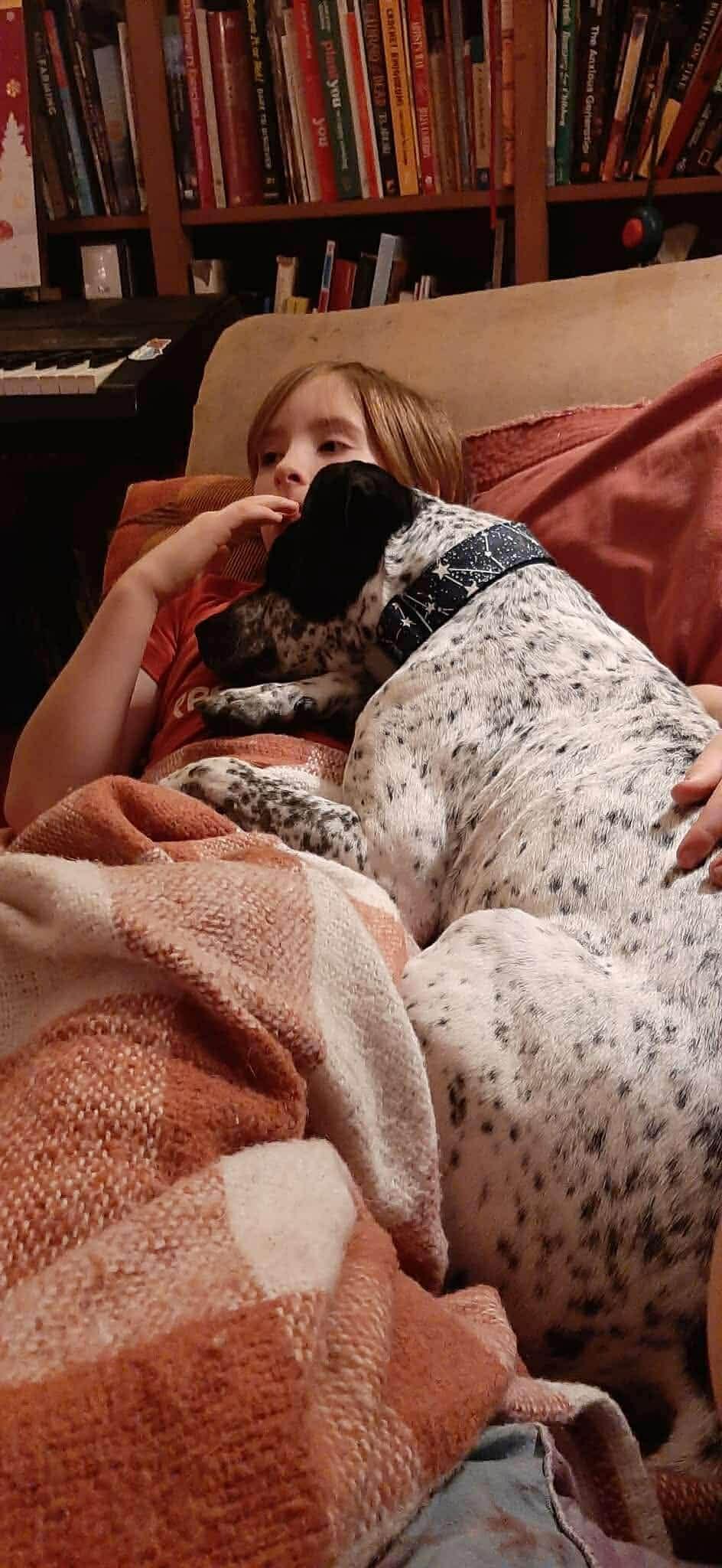 Mister Hank (20251122-02) **Part of a bonded pair** — thumbnail 6