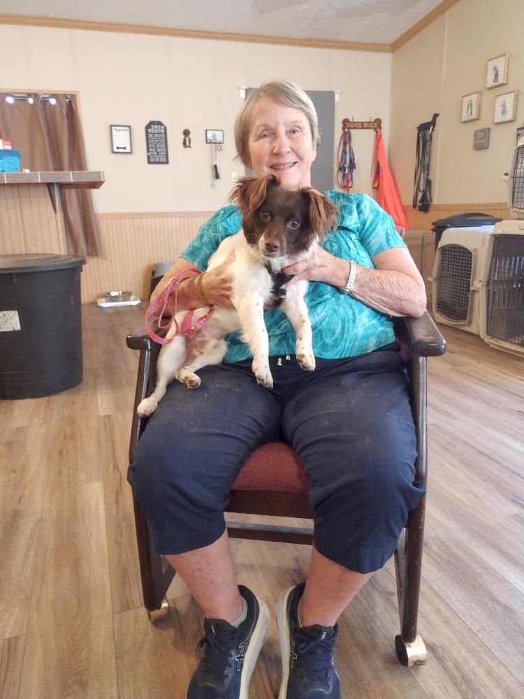 Biscuit, an adopted mixed breed in Camden, SC image 1/6