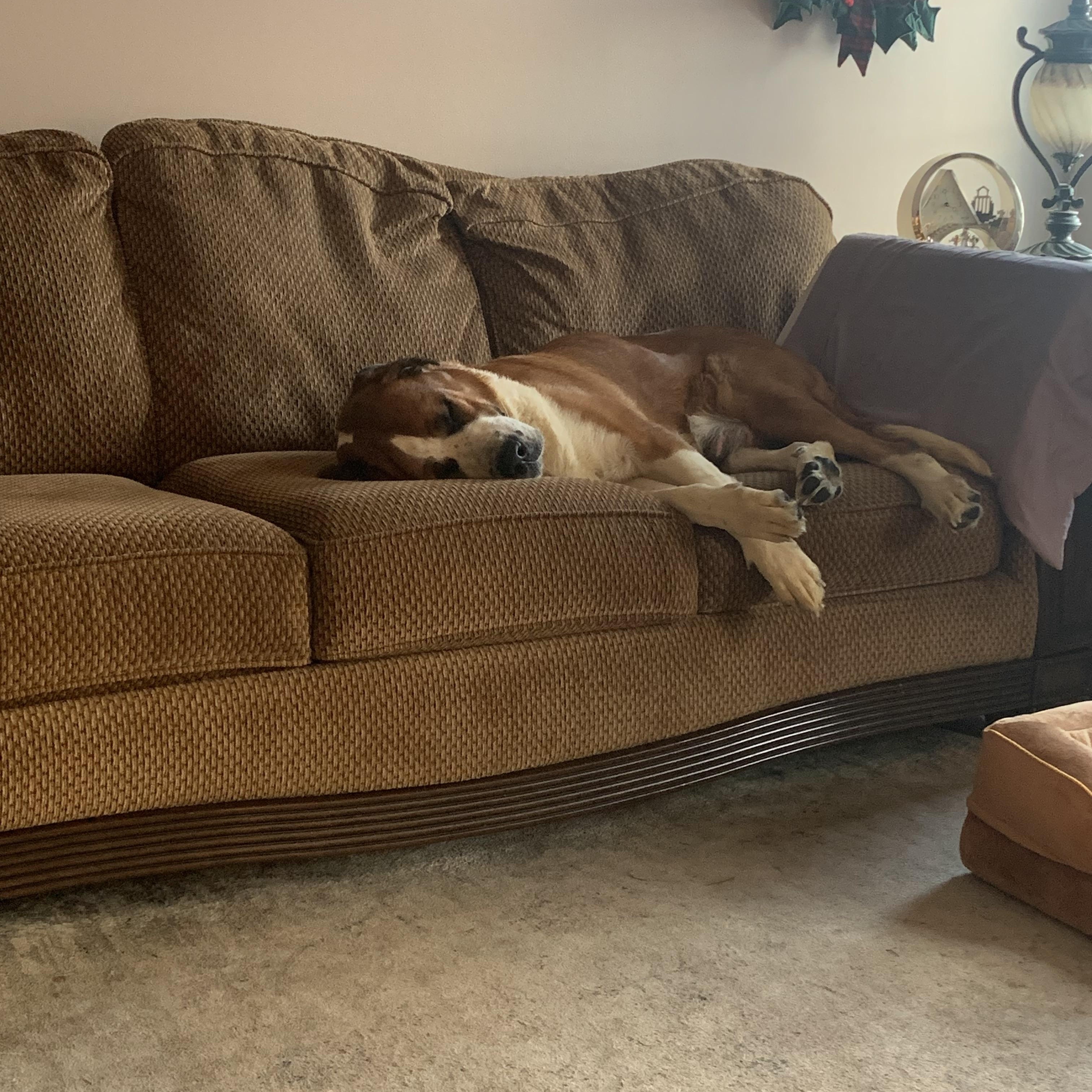 Christmas thumbnail 2