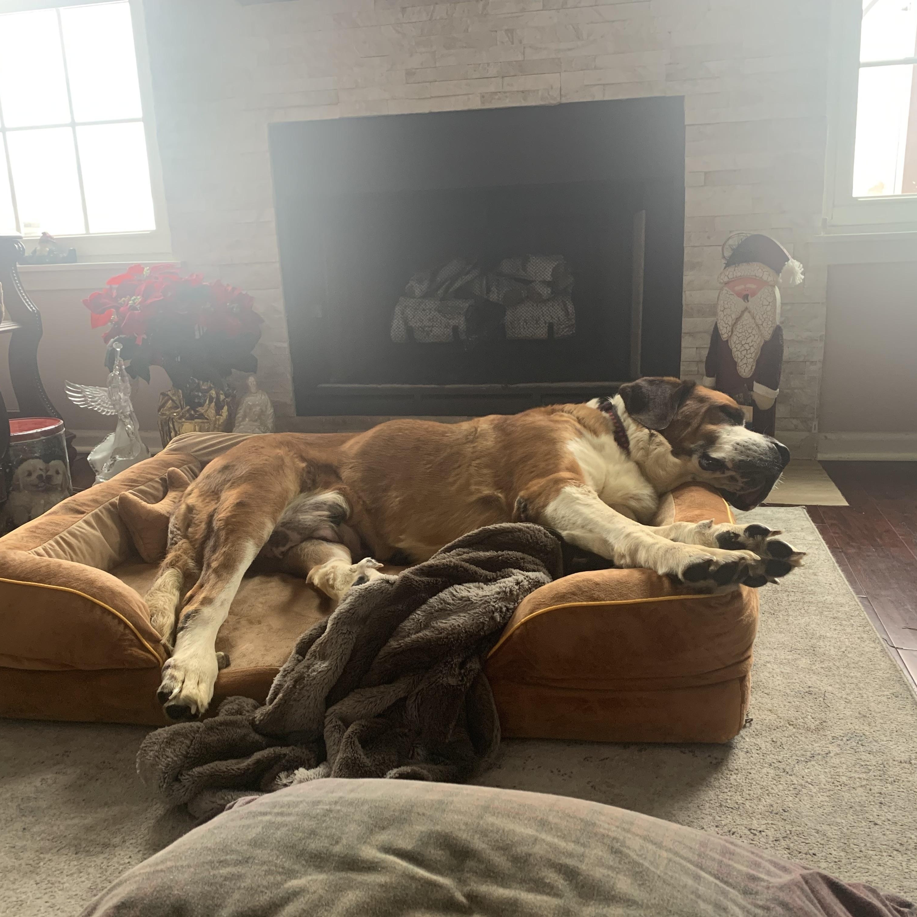 Christmas thumbnail 4