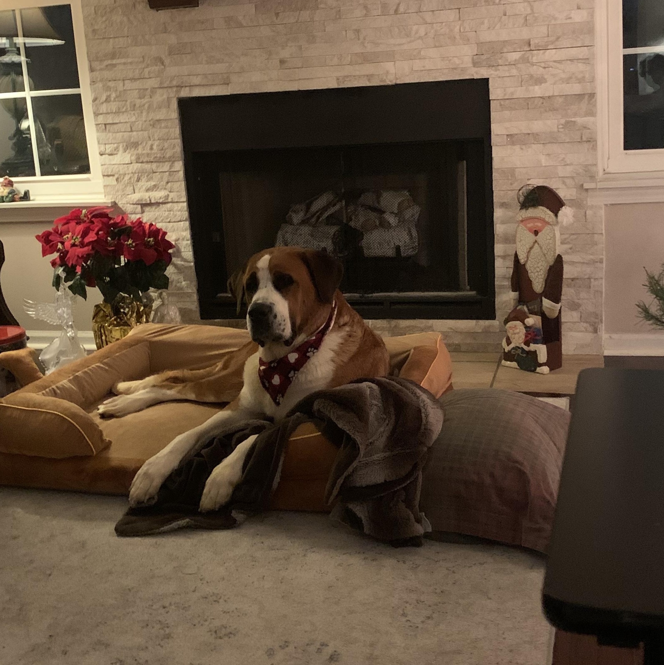 Christmas thumbnail 5