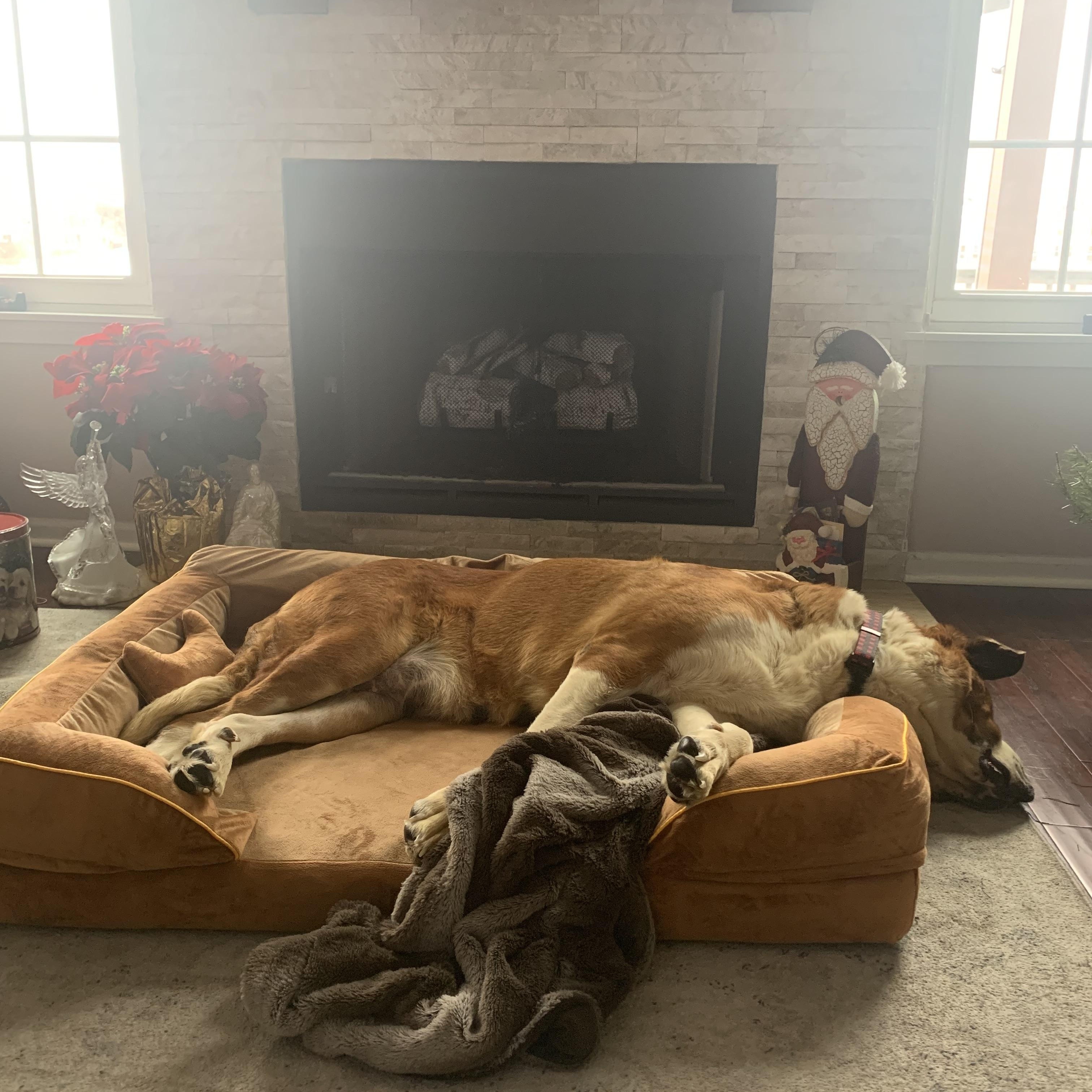 Christmas thumbnail 6