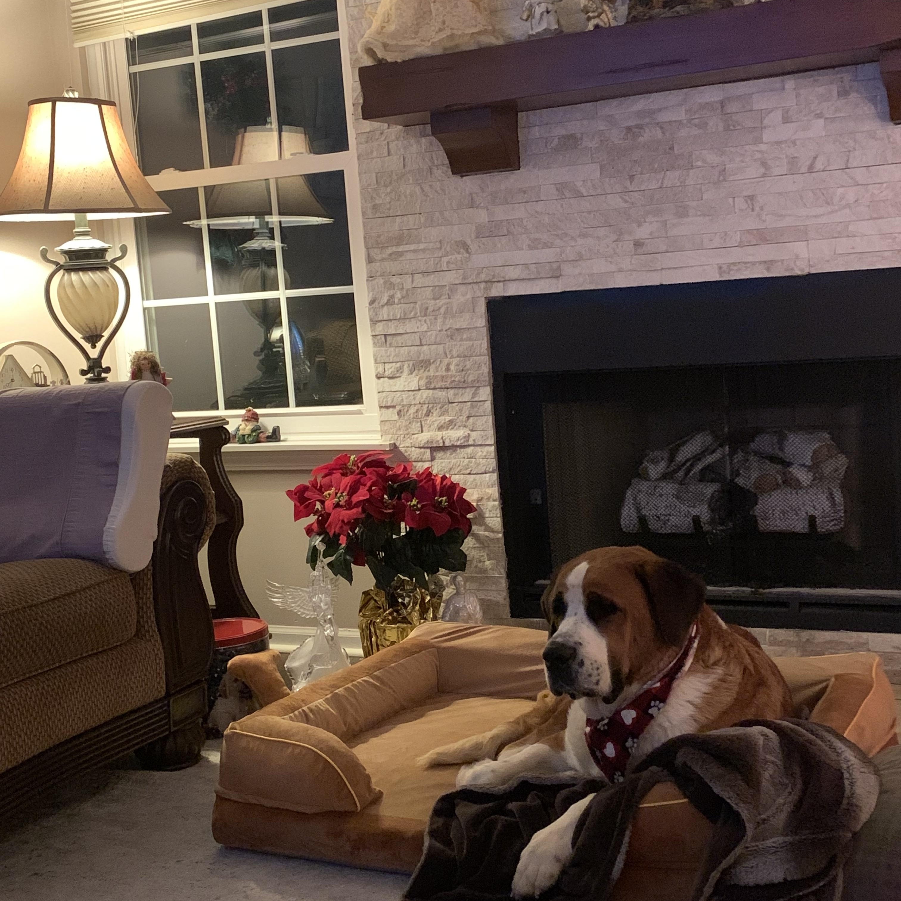 Christmas thumbnail 7