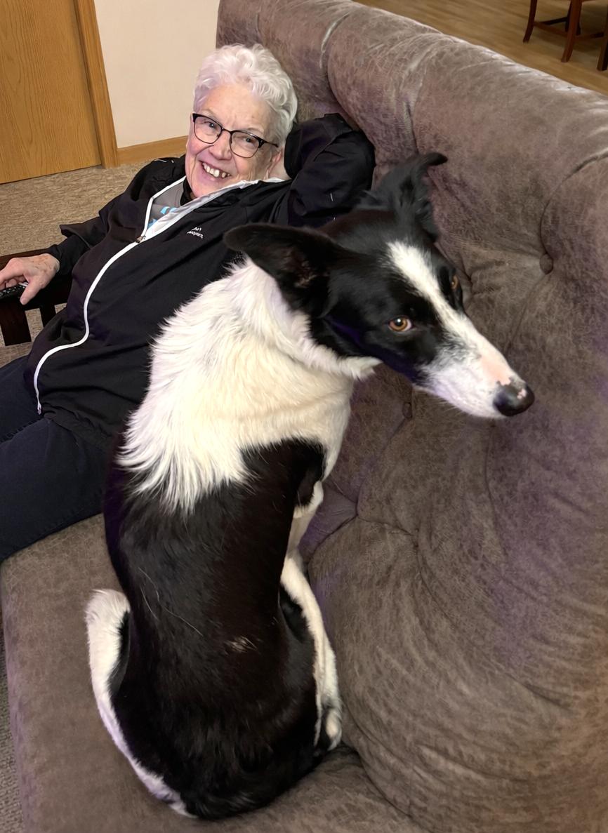 Cap, a hold mixed breed in Minneapolis, MN image 5/6