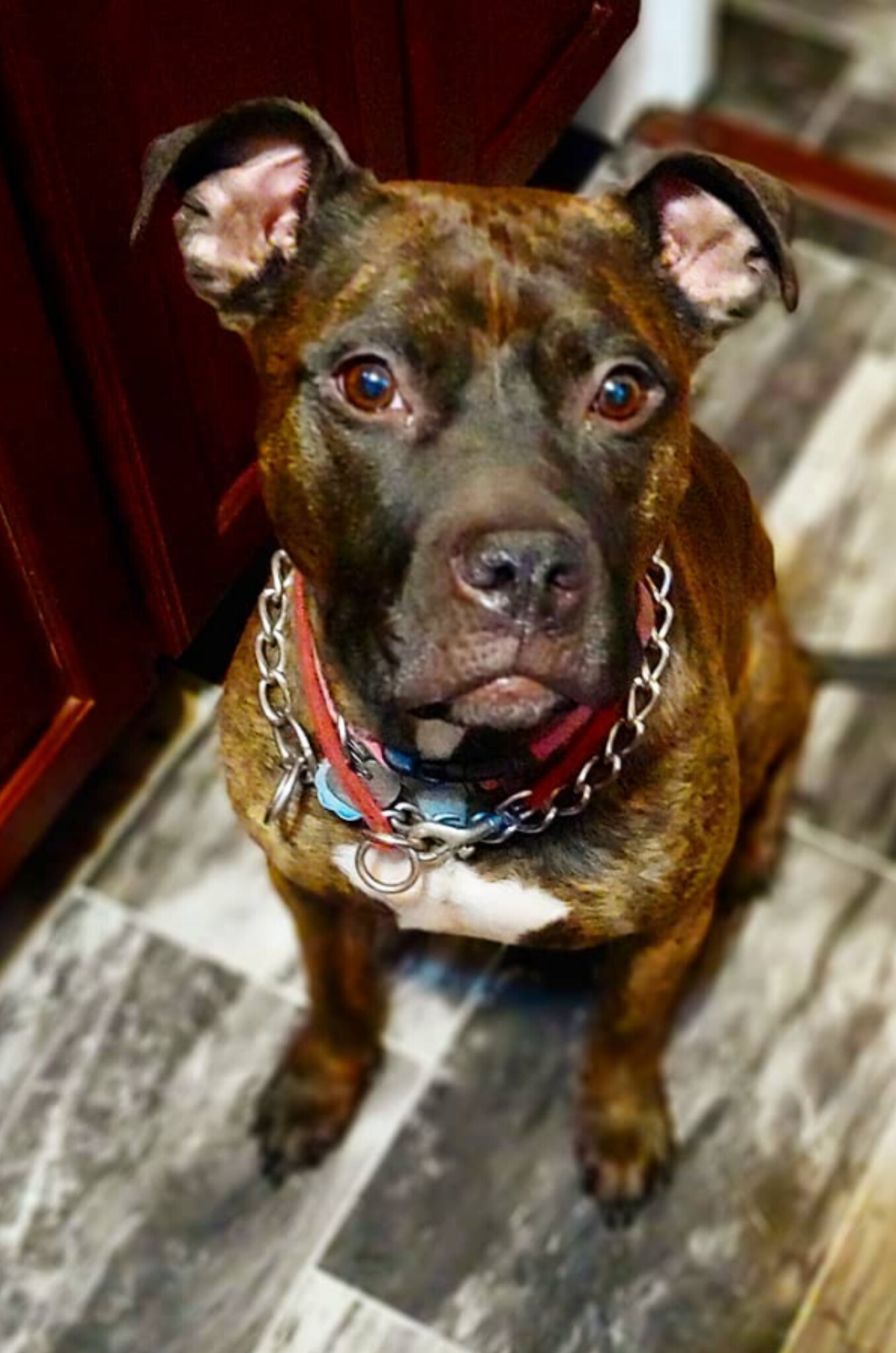 Andromeda thumbnail 2