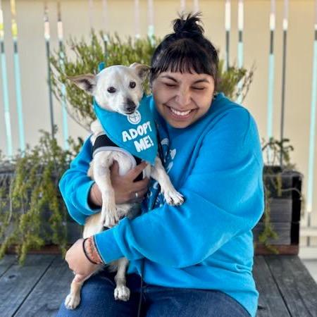 Enlarge Newt, a Adoptable mixed breed in Pacific Grove, CA image 4/6