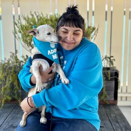Enlarge Newt, a Adoptable mixed breed in Pacific Grove, CA image 5/6