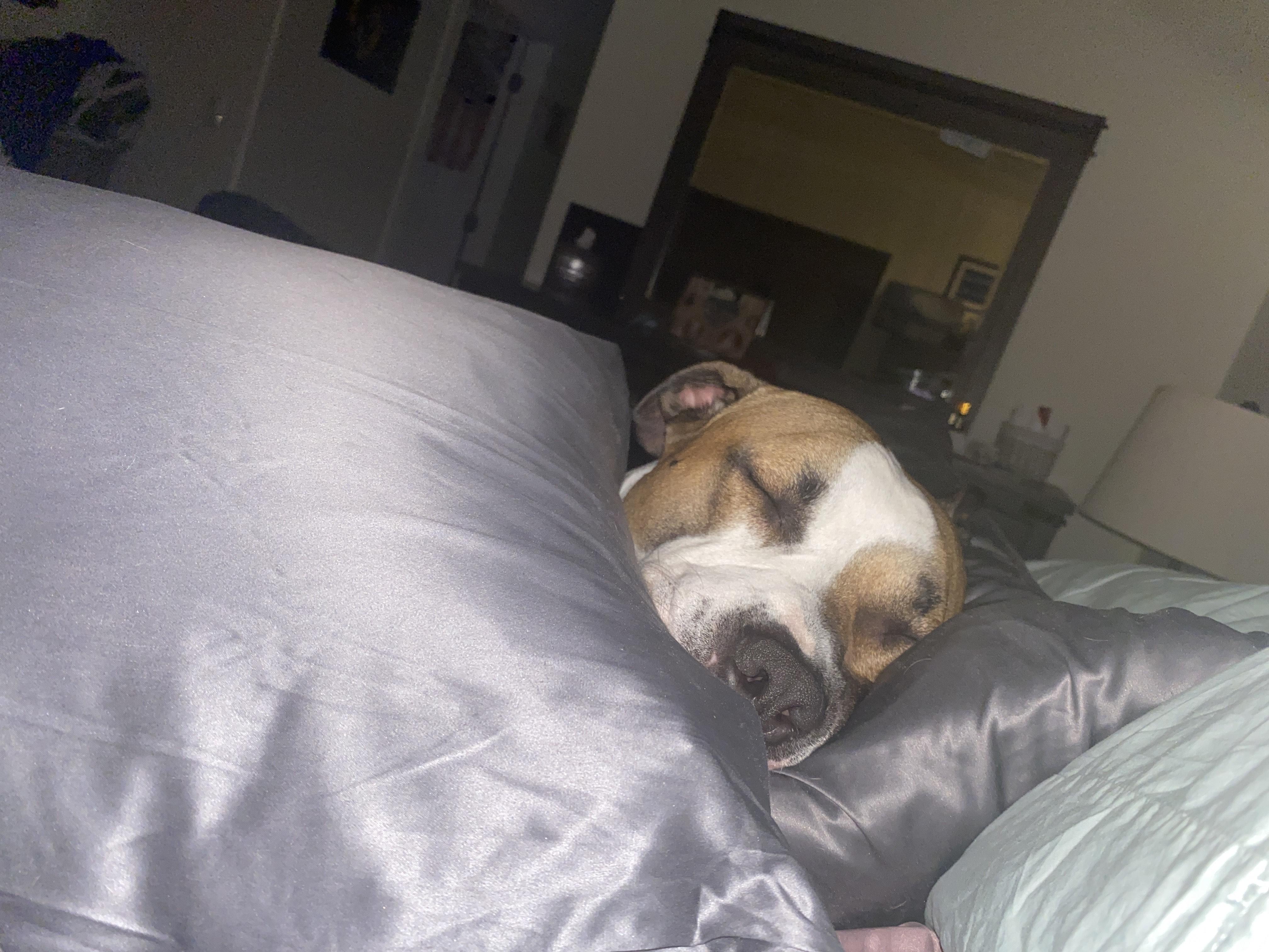 Courtesy Post (Please call the owner directly)