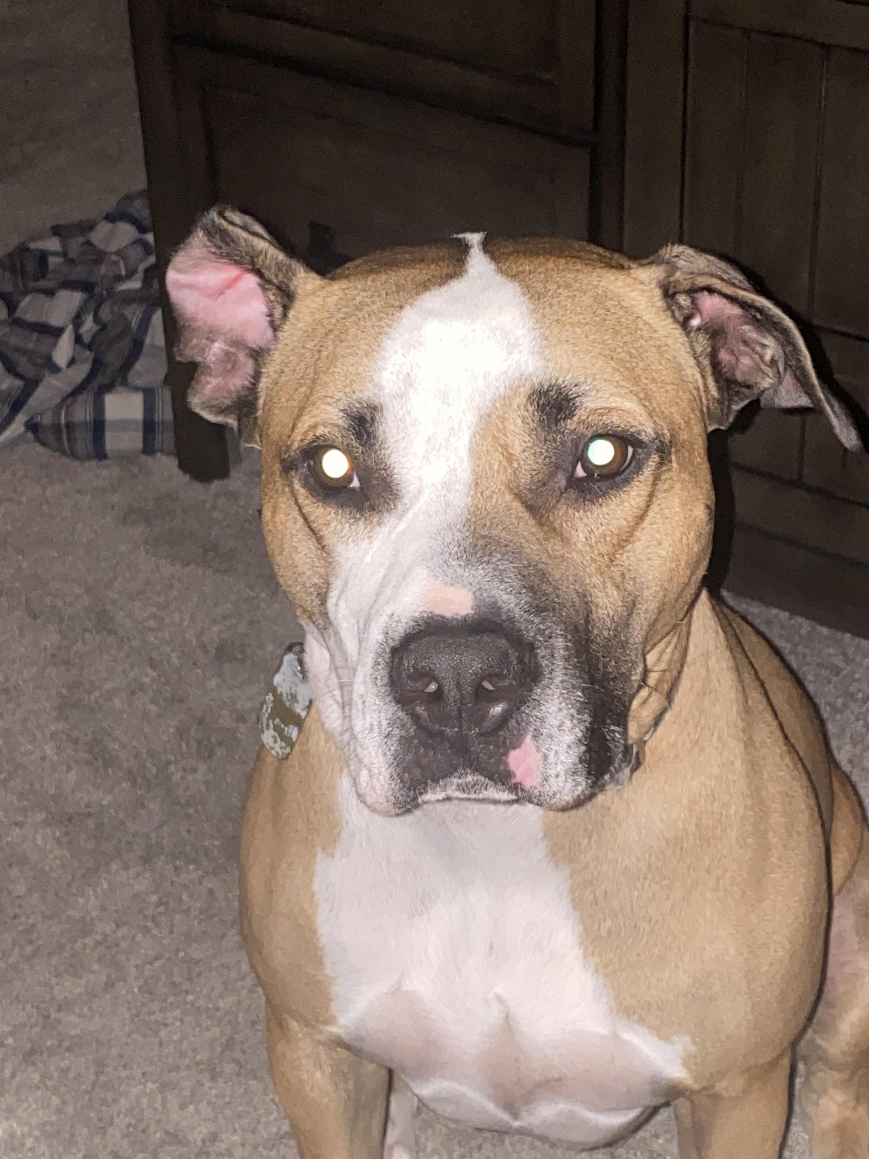 Courtesy Post (Please call the owner directly)