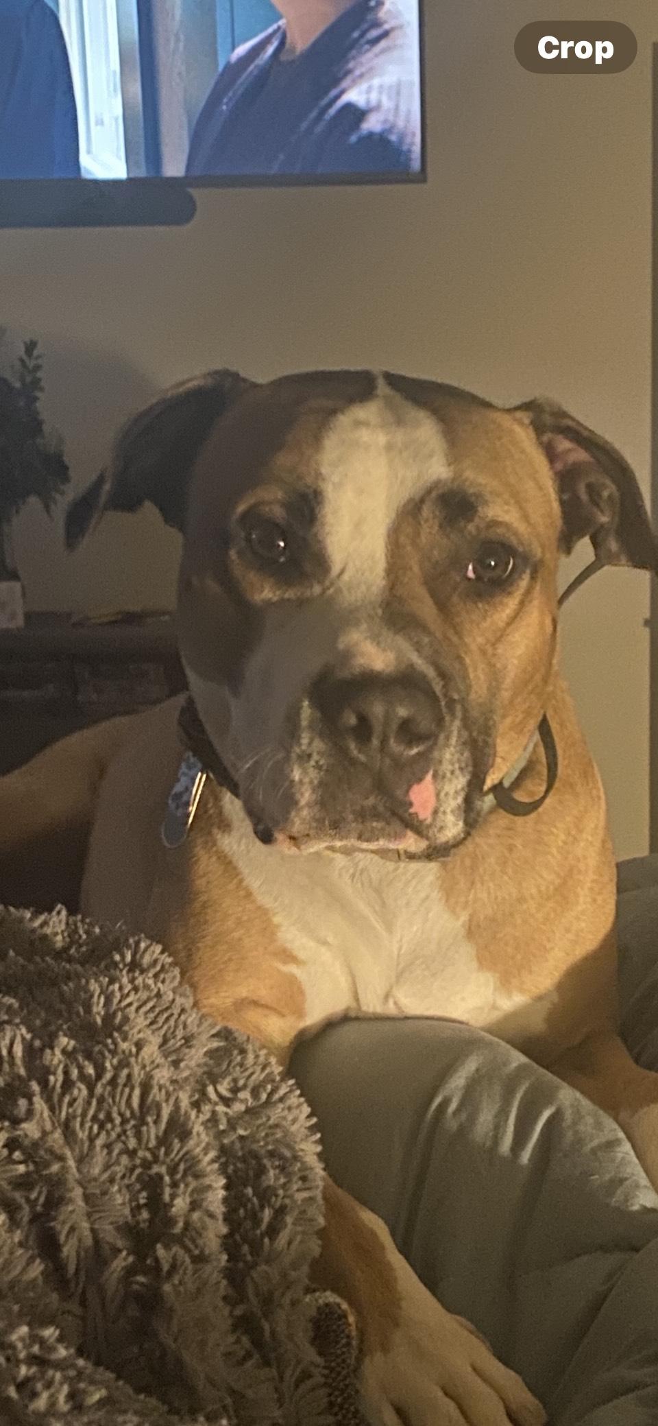 Courtesy Post (Please call the owner directly)