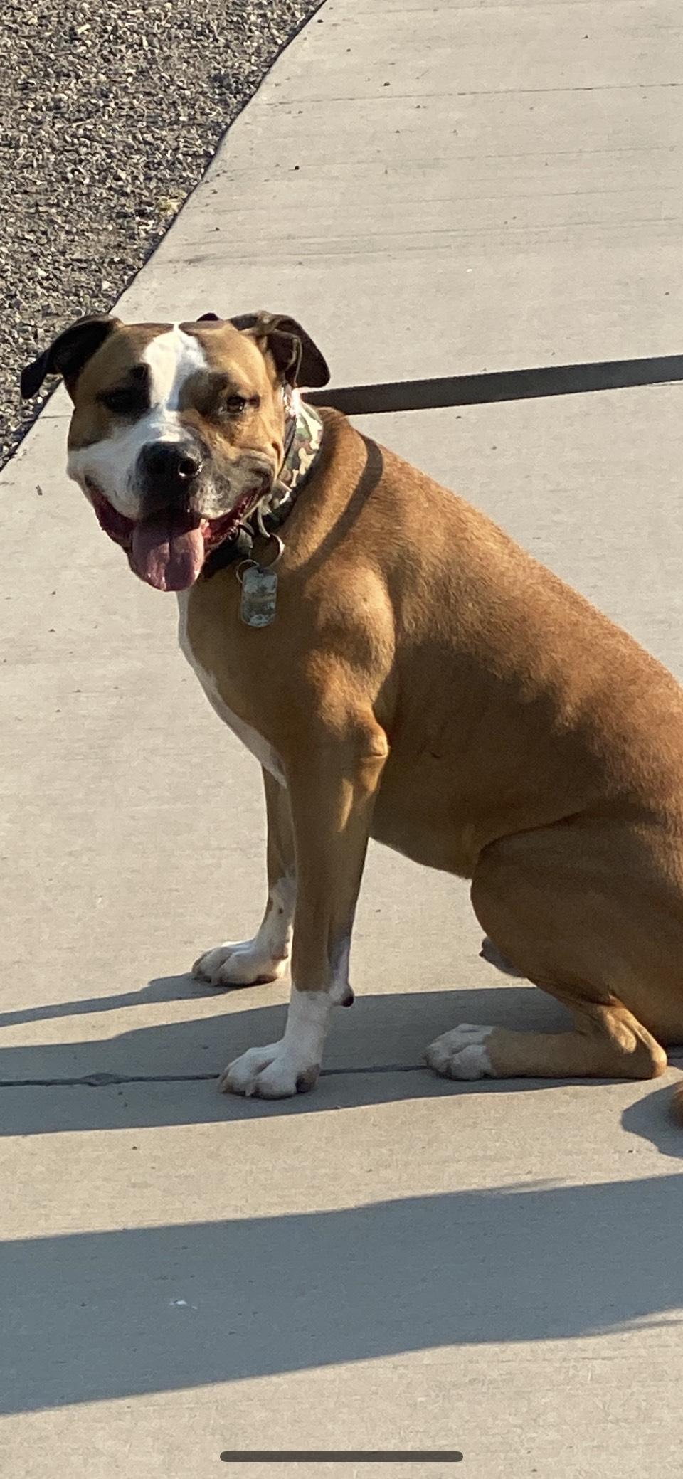 Courtesy Post (Please call the owner directly)