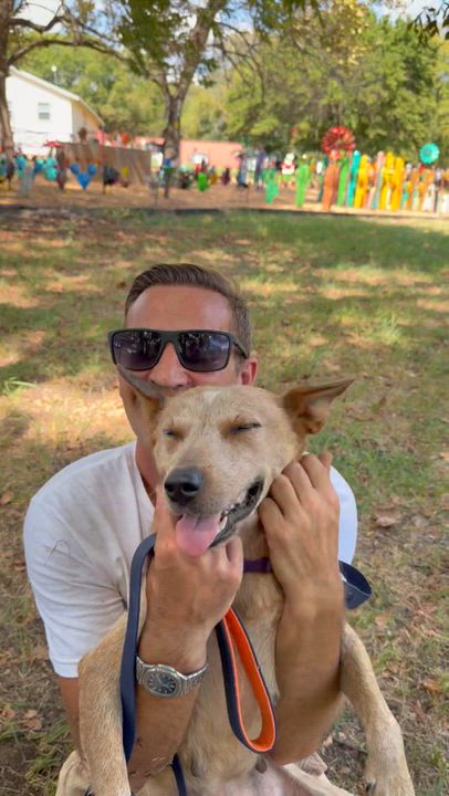 Enlarge Niner, a Adopted Australian Cattle Dog / Blue Heeler in Beaverton, OR video 6/6