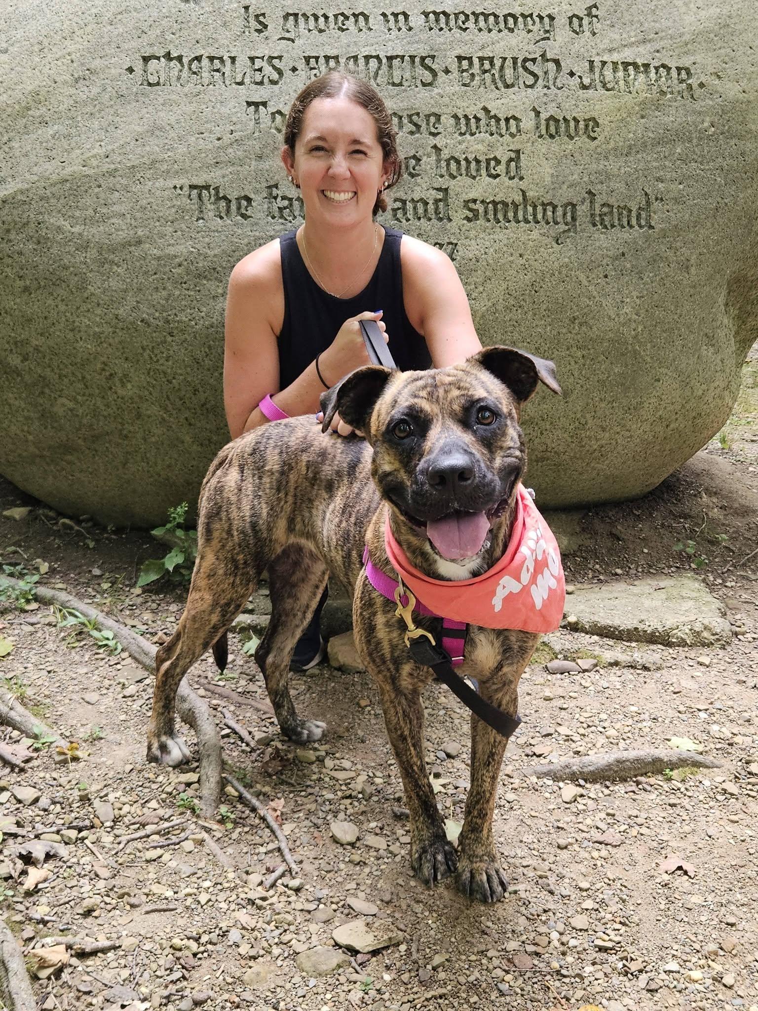 Enlarge Xena, a Adoptable mixed breed in Cleveland, OH image 5/5