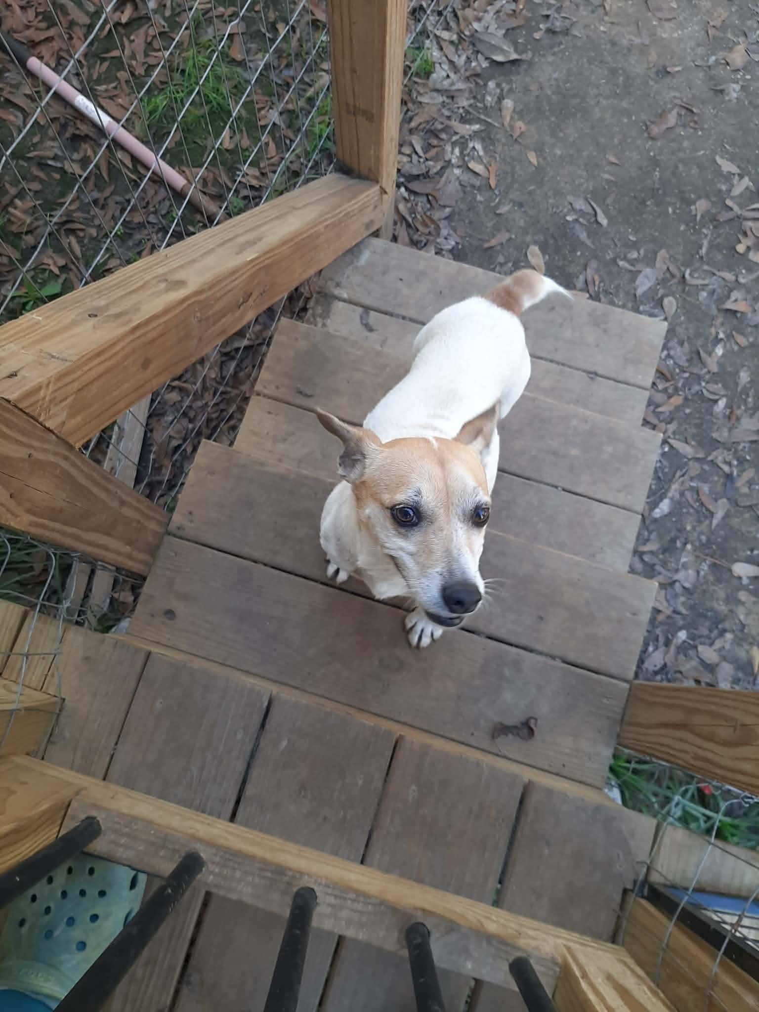 Mercy — thumbnail 2