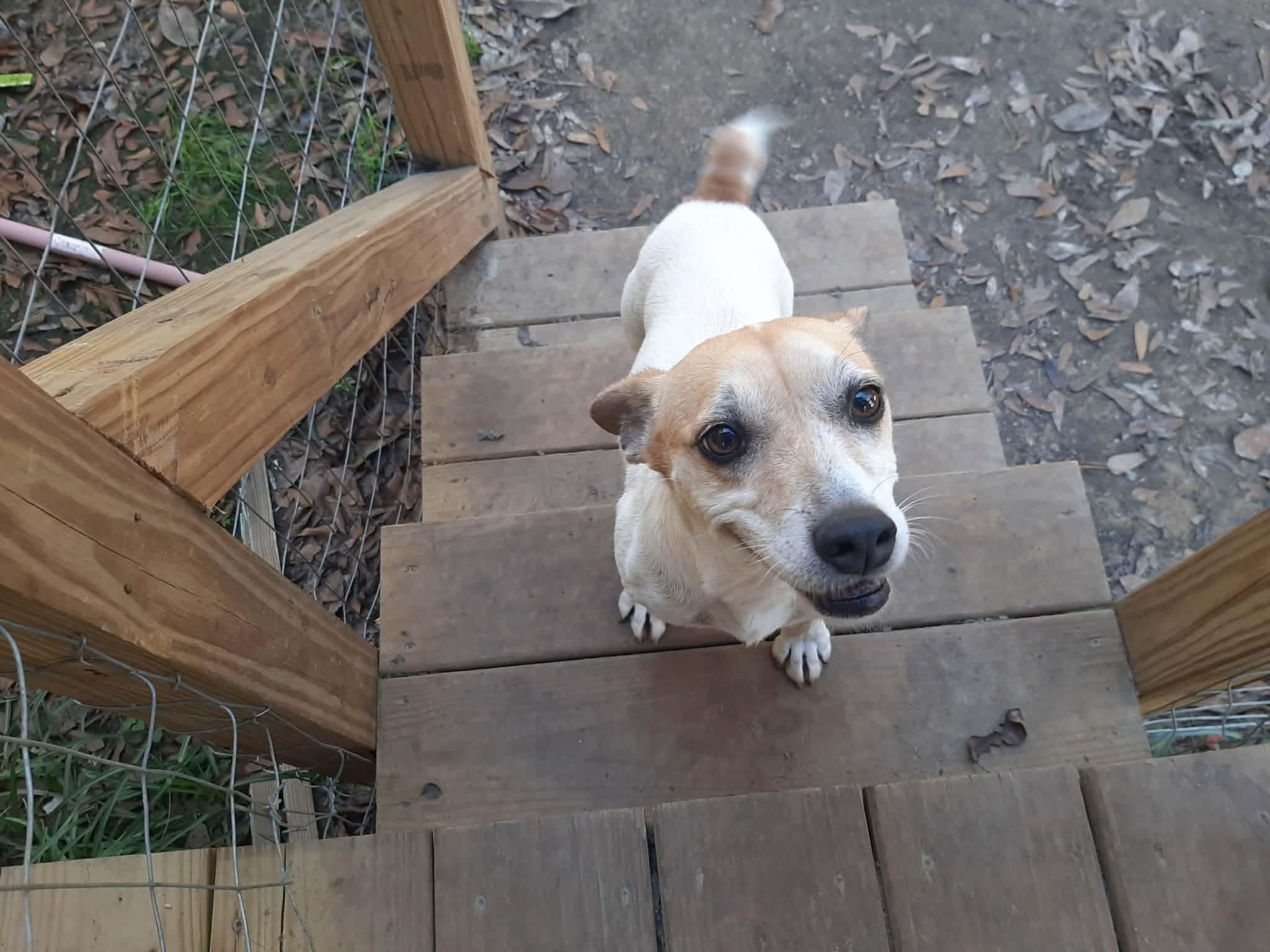 Mercy — thumbnail 4