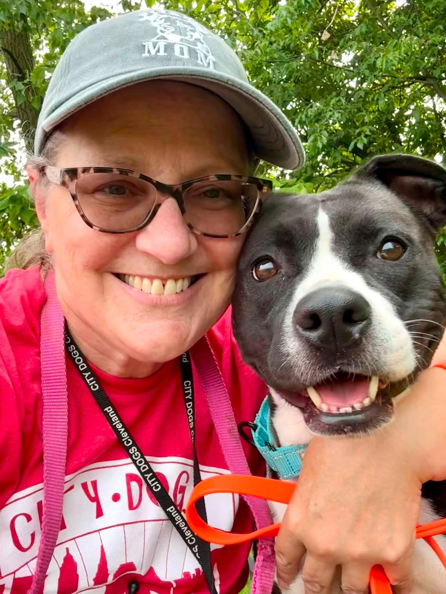 Enlarge Violet, a Adoptable mixed breed in Cleveland, OH image 2/6