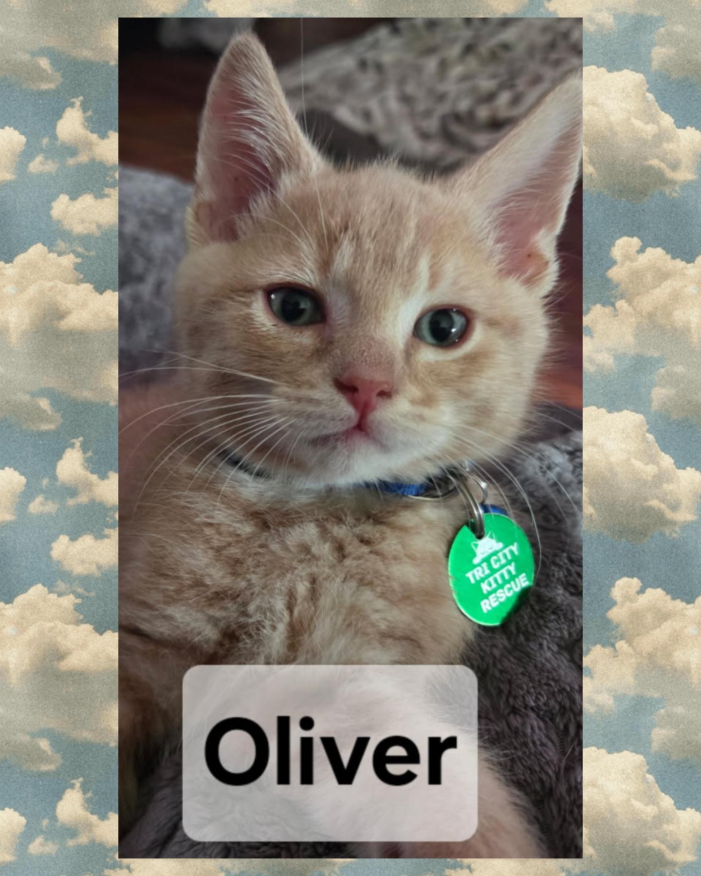 Oliver