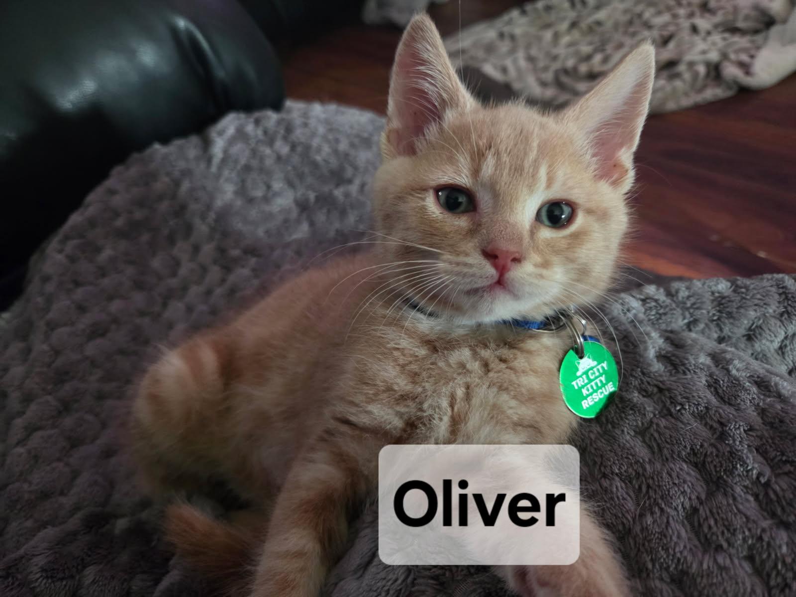 Oliver