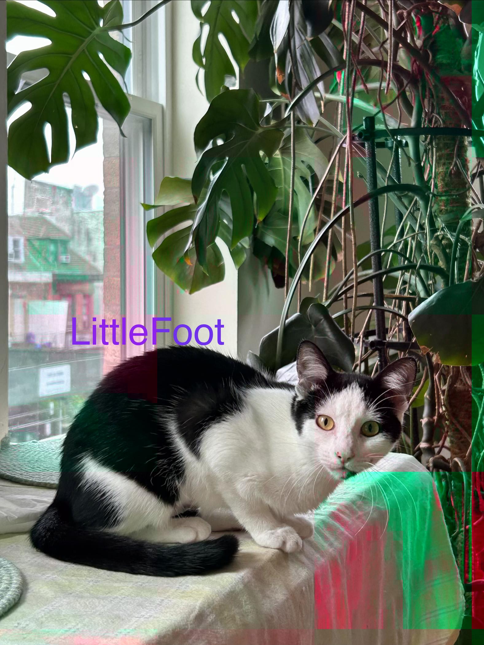 Scape&littlefood thumbnail 5