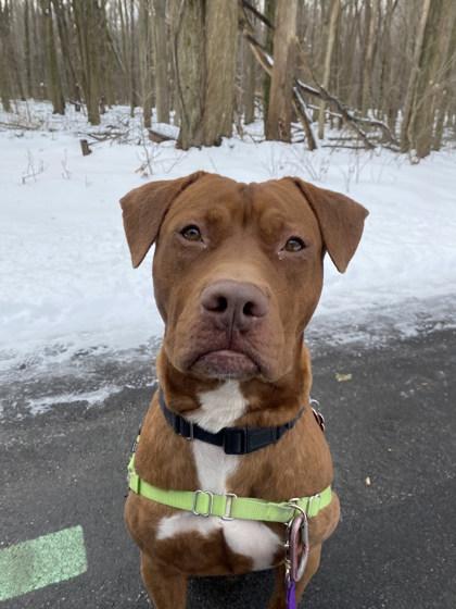 Bing Bong thumbnail 2