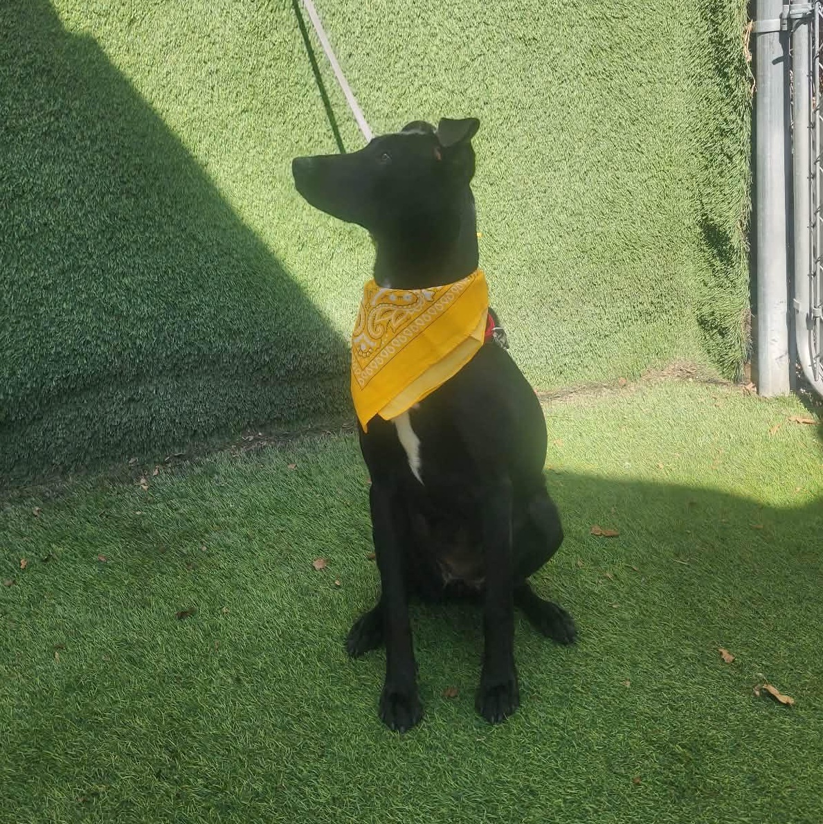 Endora — thumbnail 2