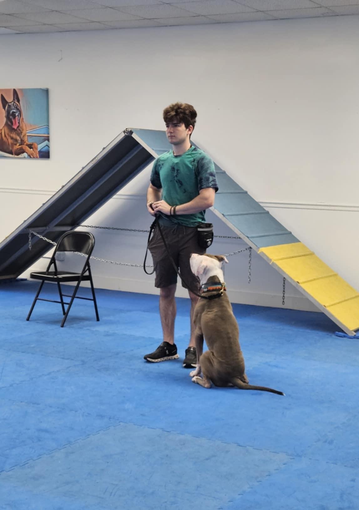 Enlarge Archer, a Adoptable Pit Bull Terrier in Southern Pines, NC image 5/6