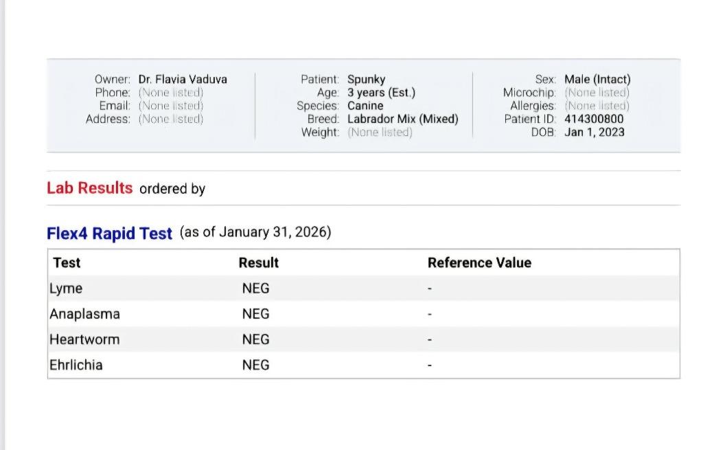 George fka Spunky — thumbnail 2