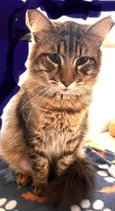 Toby — thumbnail 3