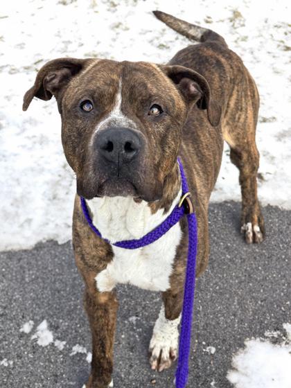 Garrett — thumbnail 2