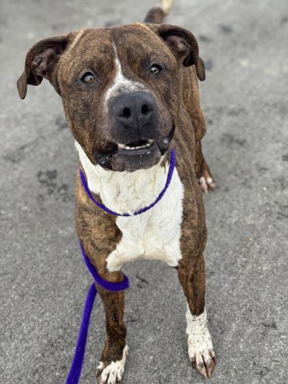 Garrett — thumbnail 3