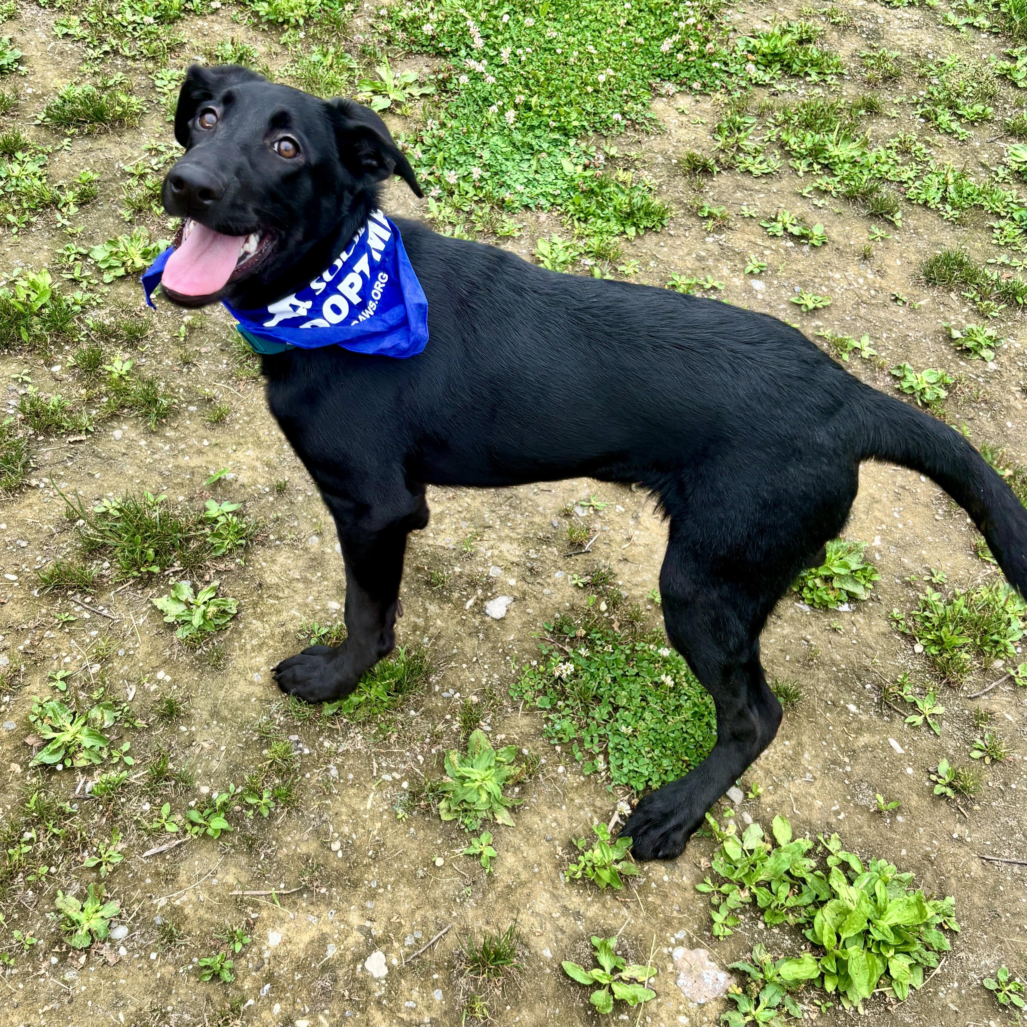 Photo of Zala