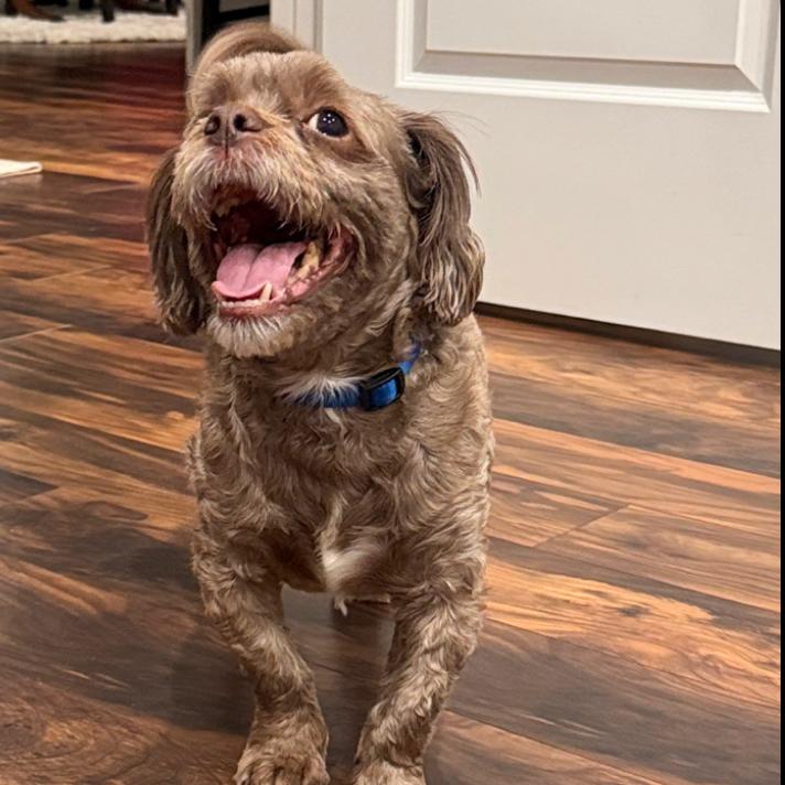 Heinz — thumbnail 2