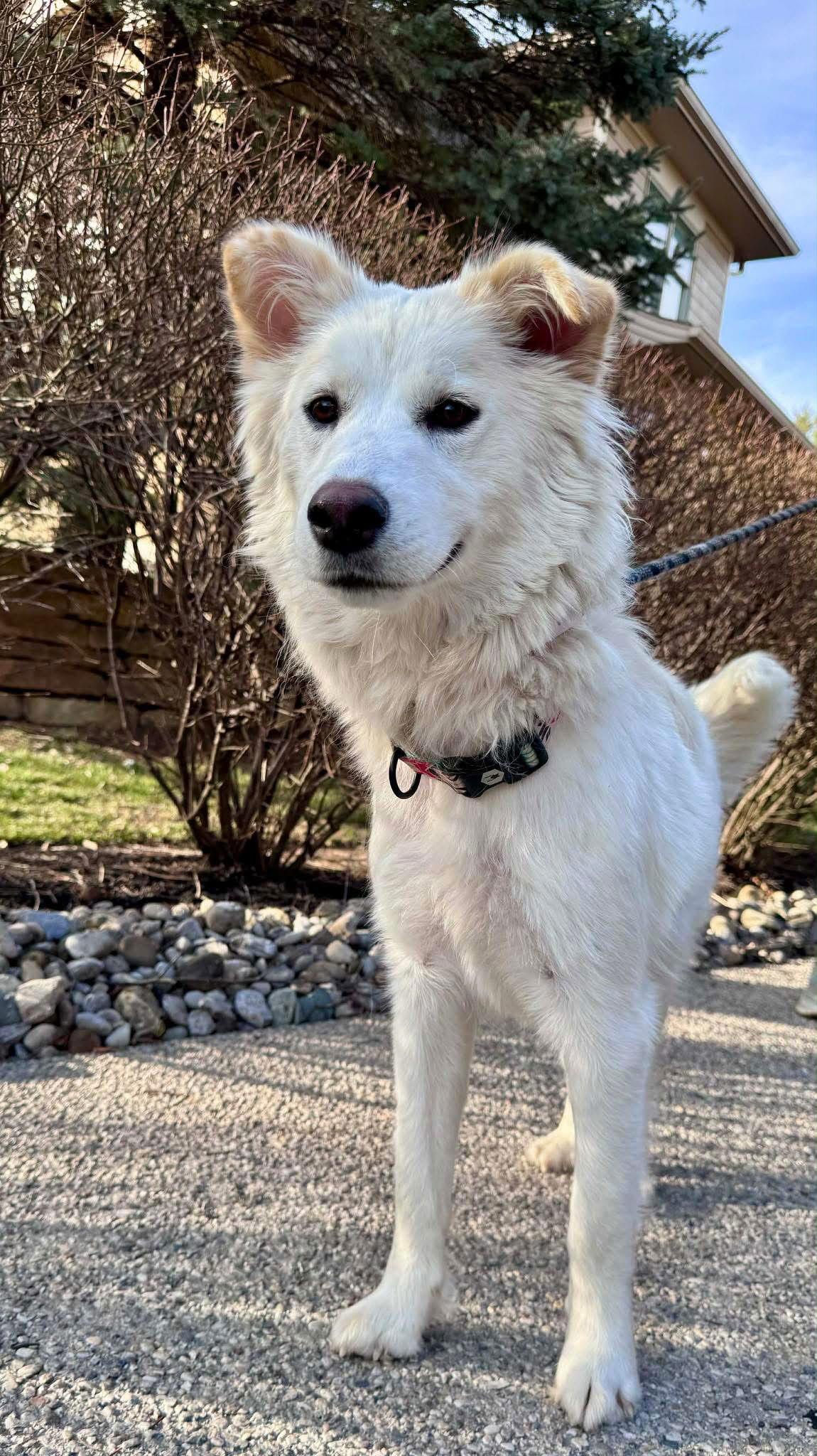 Manhattan — thumbnail 2