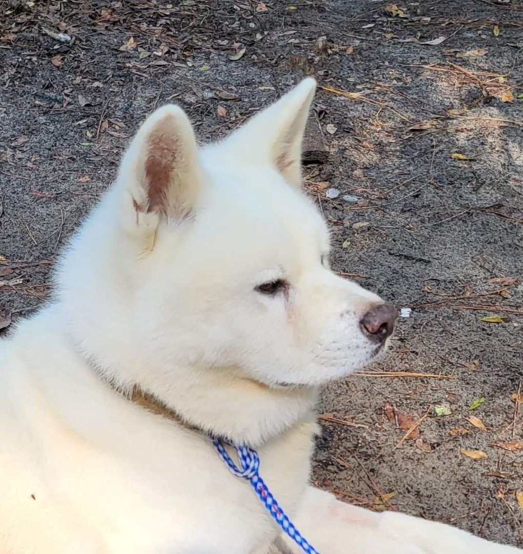 Sebastian  photo 1