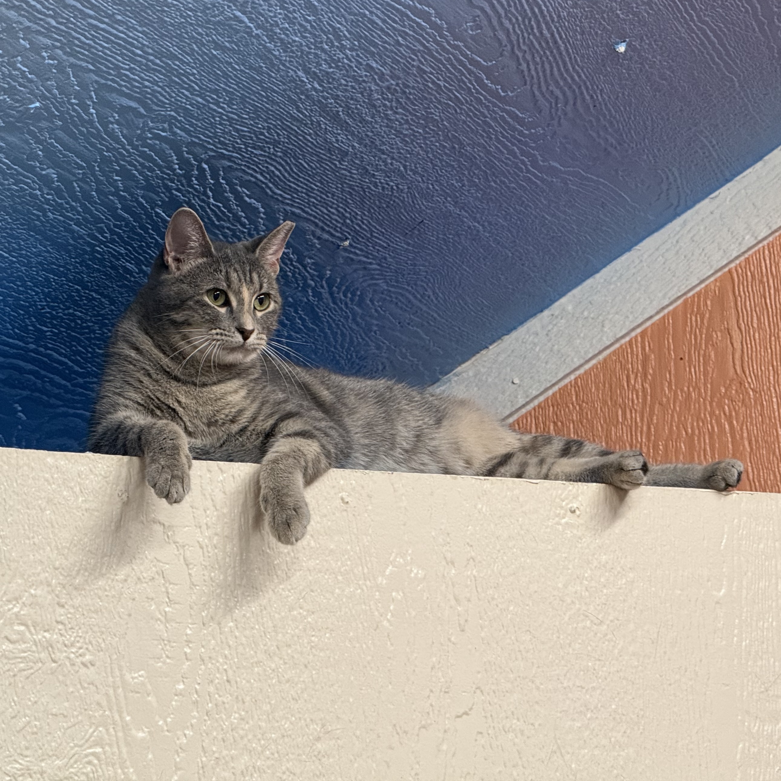 Marbles