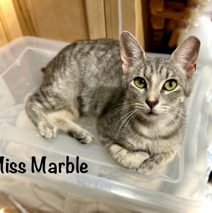 Marbles