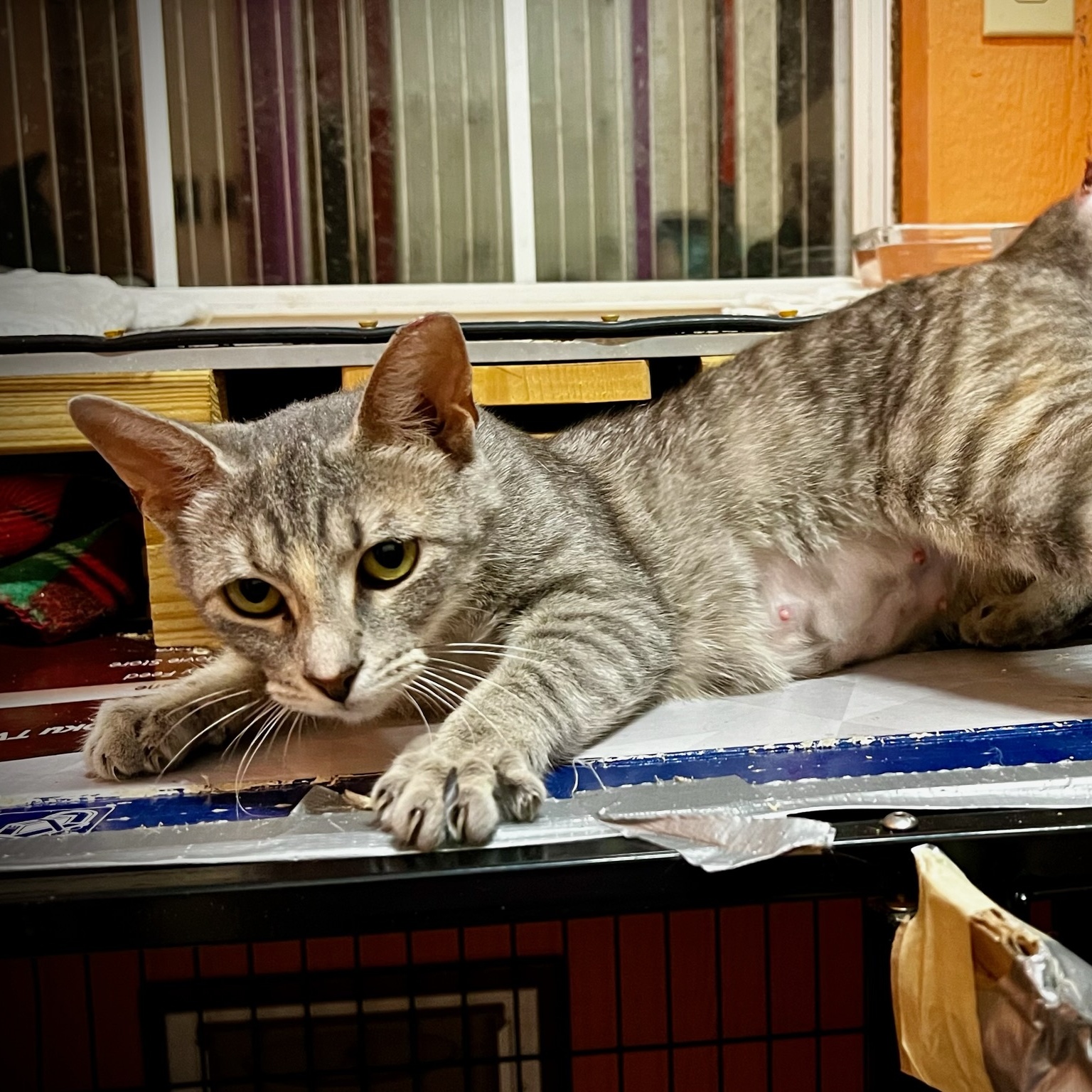 Marbles