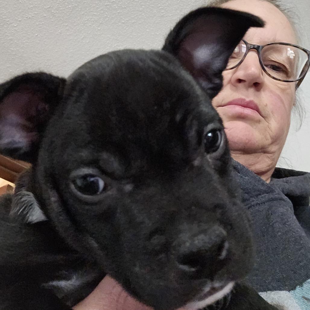 Enlarge Shira, a Adoptable mixed breed in Alma, WI image 6/6