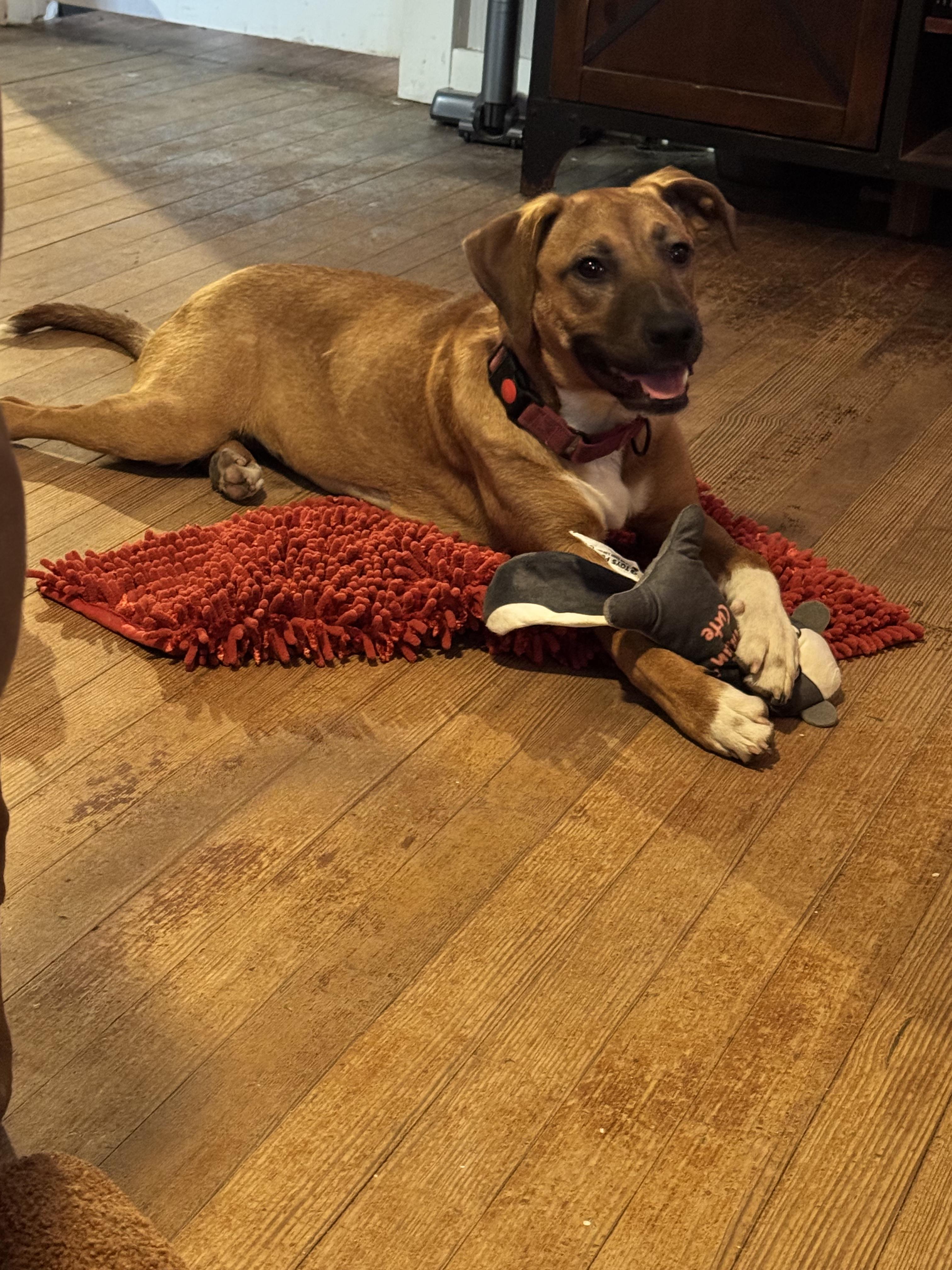 Maggie — thumbnail 2