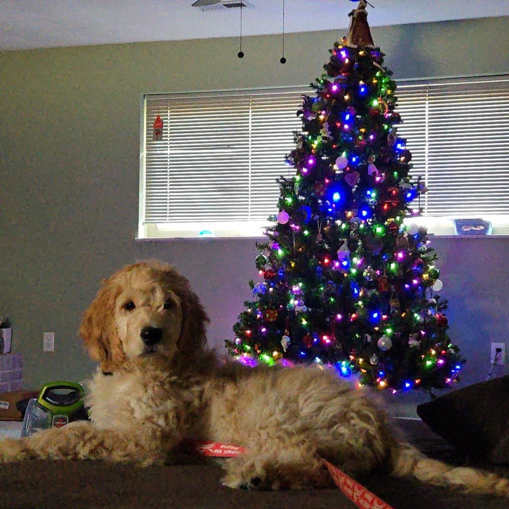 Christine thumbnail 2